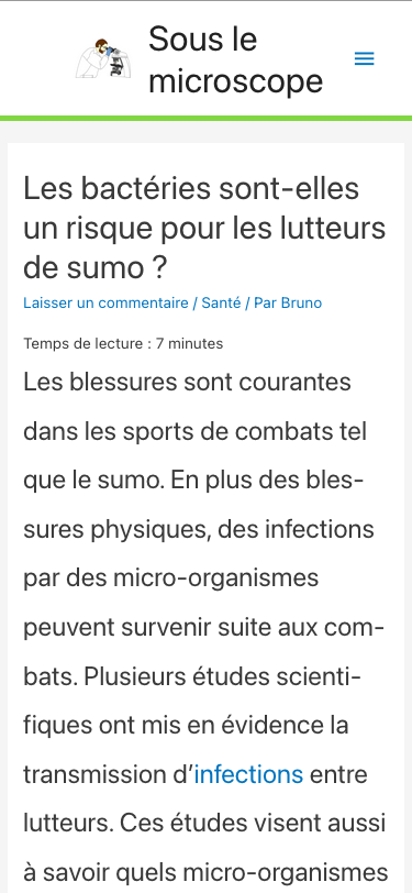 Version mobile du site avant refonte