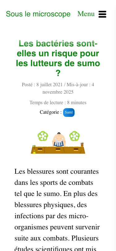 Version mobile du site après refonte