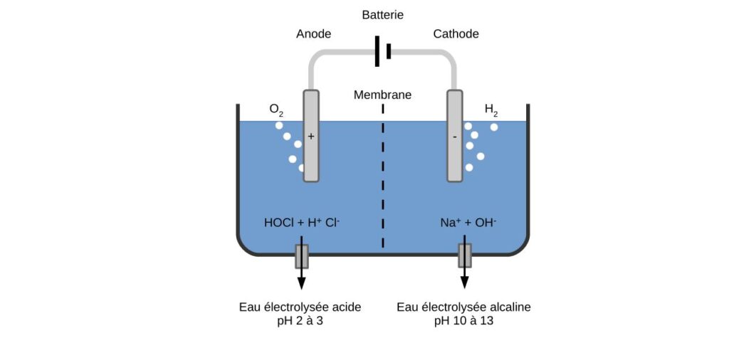 Schéma d'un appareil, avec une membrane, produisant de l'eau électrolysée.