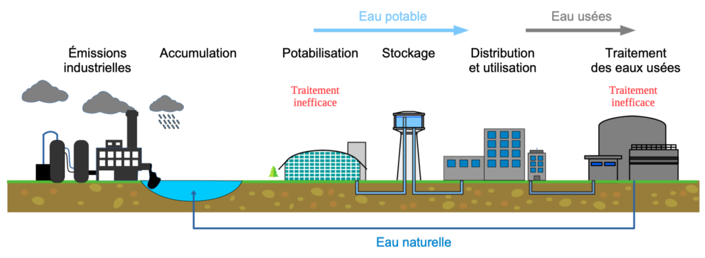 Schéma du cycle de l'eau montrant l'accumulation de TFA dans l'environnement
